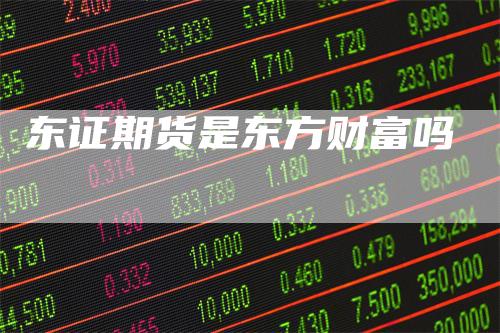 东证期货是东方财富吗