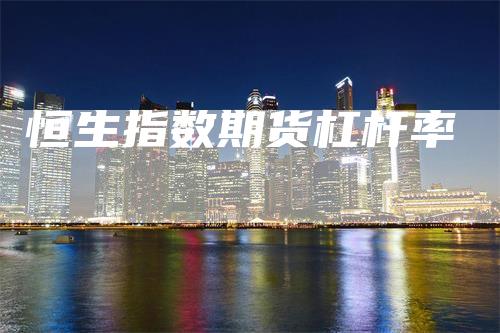 恒生指数期货杠杆率