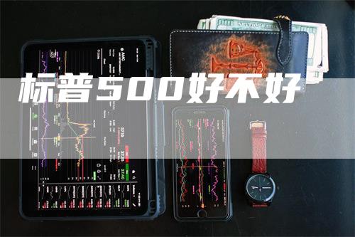 标普500好不好