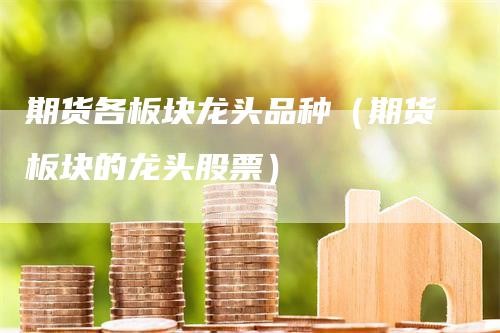 期货各板块龙头品种（期货板块的龙头股票）