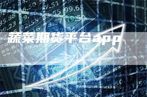 蔬菜期货平台app