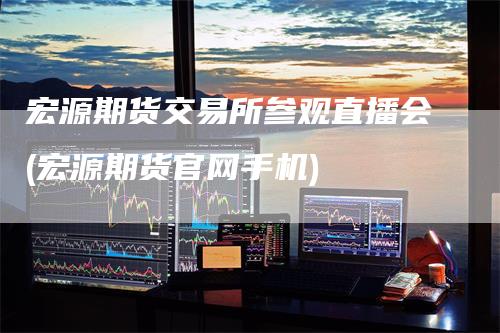 宏源期货交易所参观直播会(宏源期货官网手机)