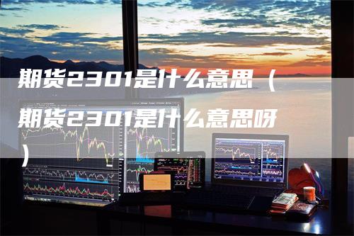 期货2301是什么意思（期货2301是什么意思呀）