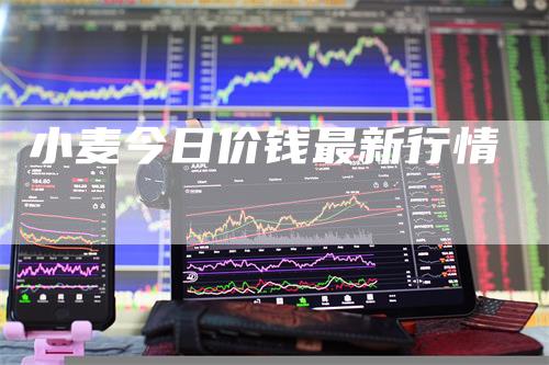 小麦今日价钱最新行情