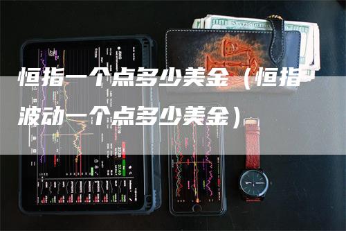 恒指一个点多少美金（恒指波动一个点多少美金）