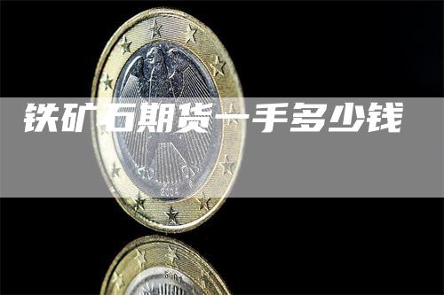 铁矿石期货一手多少钱