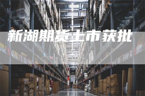 新湖期货上市获批