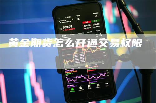 黄金期货怎么开通交易权限