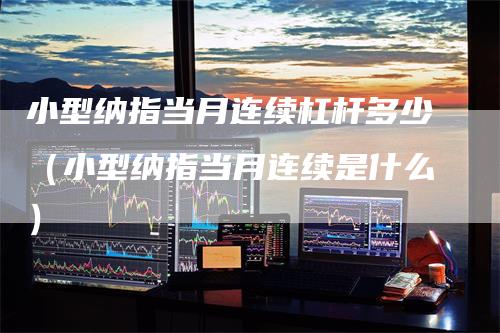 小型纳指当月连续杠杆多少（小型纳指当月连续是什么）