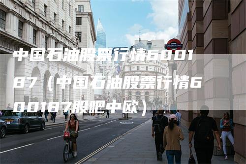 中国石油股票行情600187（中国石油股票行情600187股吧中欧）