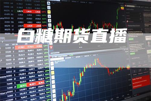 白糖期货直播