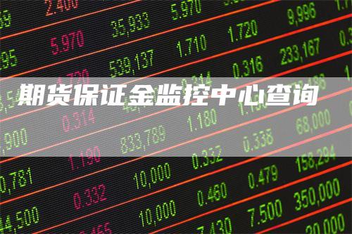 期货保证金监控中心查询