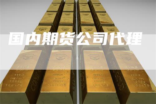 国内期货公司代理