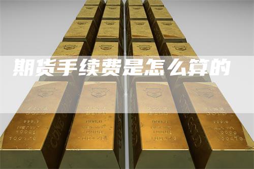 期货手续费是怎么算的
