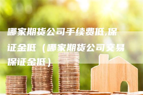 哪家期货公司手续费低,保证金低（哪家期货公司交易保证金低）