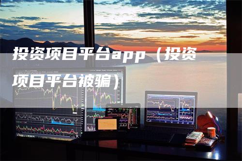 投资项目平台app（投资项目平台被骗）