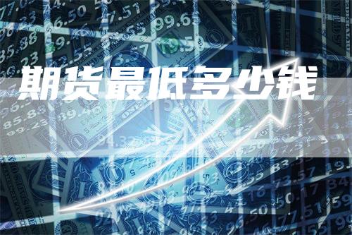 期货最低多少钱