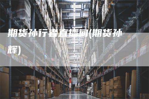 期货孙行者直播间(期货孙辉)