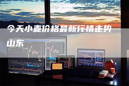 今天小麦价格最新行情走势山东