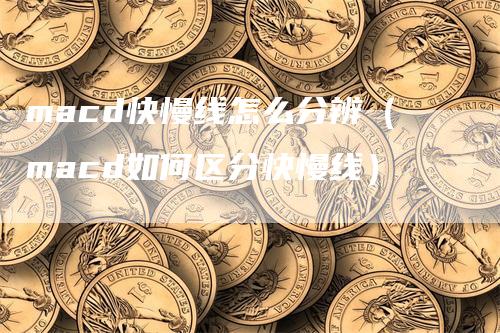 macd快慢线怎么分辨（macd如何区分快慢线）