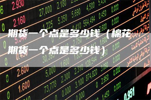 期货一个点是多少钱（棉花期货一个点是多少钱）