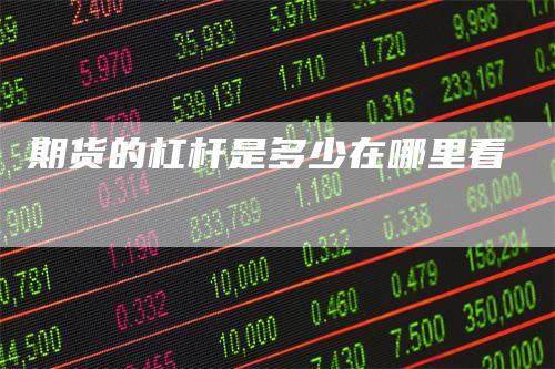 期货的杠杆是多少在哪里看