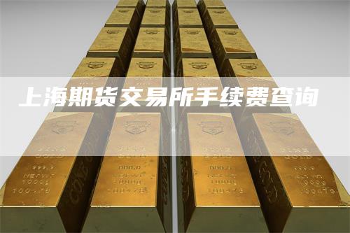 上海期货交易所手续费查询
