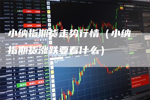小纳指期货走势行情（小纳指期货涨跌要看什么）