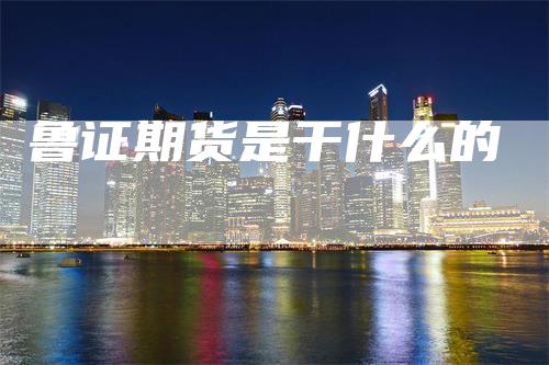 鲁证期货是干什么的