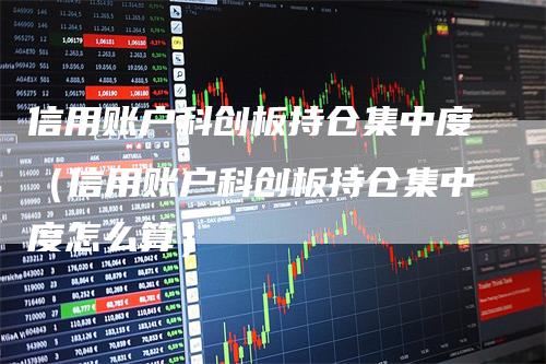 信用账户科创板持仓集中度（信用账户科创板持仓集中度怎么算）