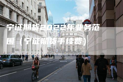 宁证期货2022年业务范围（宁证期货手续费）