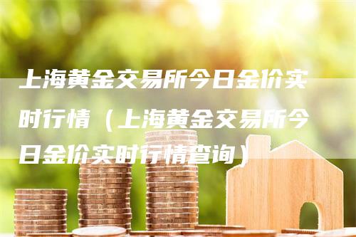 上海黄金交易所今日金价实时行情（上海黄金交易所今日金价实时行情查询）