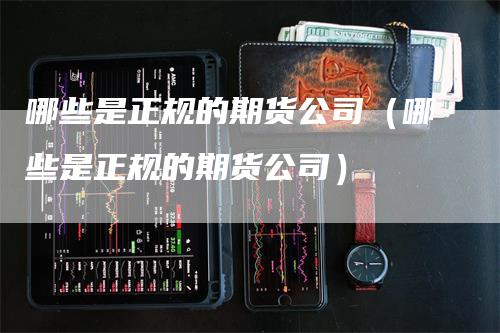 哪些是正规的期货公司（哪些是正规的期货公司）