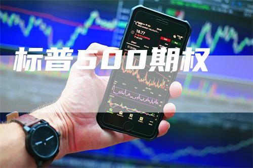 标普500期权