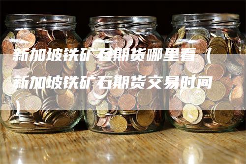 新加坡铁矿石期货哪里看（新加坡铁矿石期货交易时间）