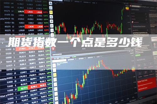 期货指数一个点是多少钱