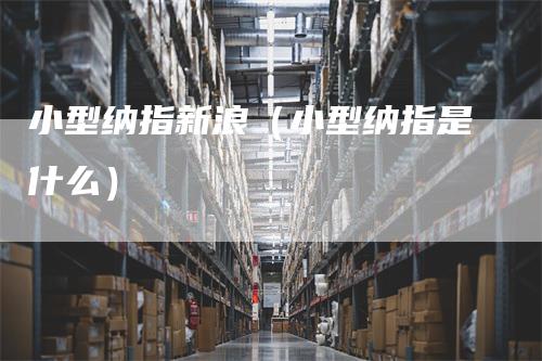 小型纳指新浪（小型纳指是什么）