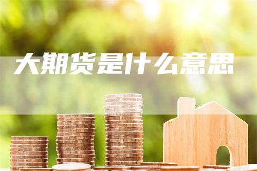 大期货是什么意思