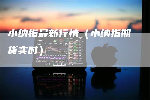 小纳指最新行情（小纳指期货实时）
