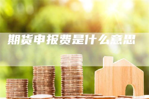 期货申报费是什么意思