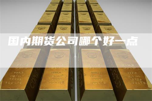 国内期货公司哪个好一点