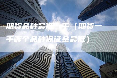 期货品种最低一手（期货一手哪个品种保证金最低）
