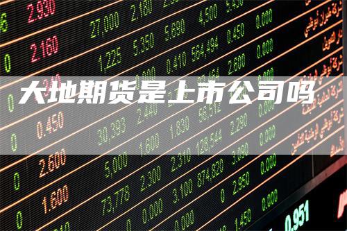 大地期货是上市公司吗