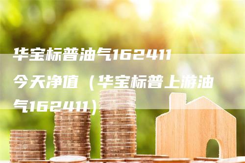 华宝标普油气162411今天净值（华宝标普上游油气162411）