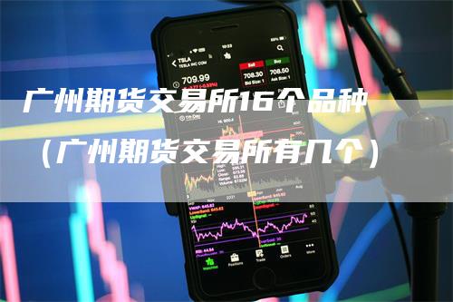 广州期货交易所16个品种（广州期货交易所有几个）