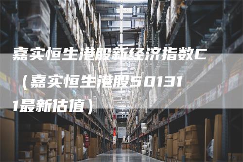 嘉实恒生港股新经济指数C（嘉实恒生港股501311最新估值）