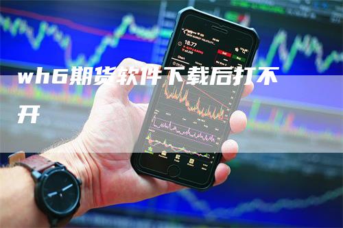 wh6期货软件下载后打不开