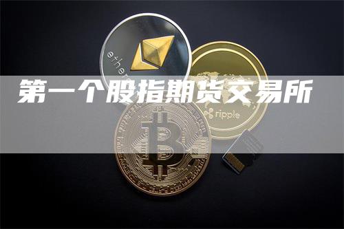 第一个股指期货交易所