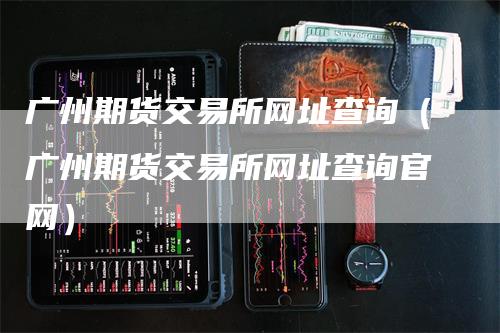 广州期货交易所网址查询（广州期货交易所网址查询官网）
