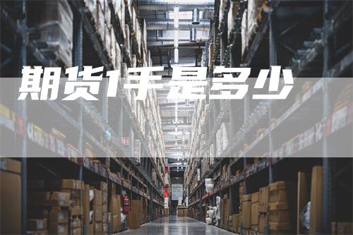 期货1手是多少